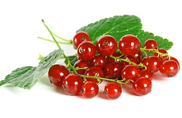 Порічки червоні свіжі, другого товарного сорту, ДСТУ 4722, 1 кг